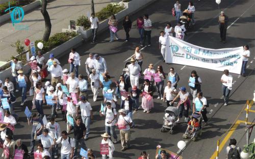 Peregrinacion-2008-5