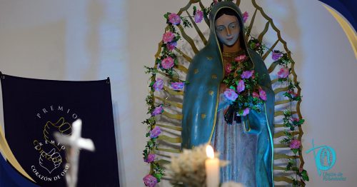 WhatsApp-Image-2025-05-26-at-11.23.54-7