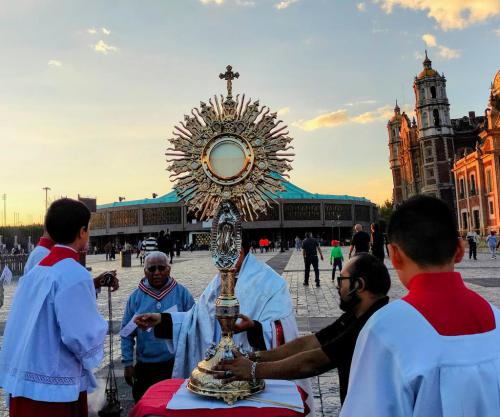 WhatsApp-Image-2023-11-27-at-12.28.25-2