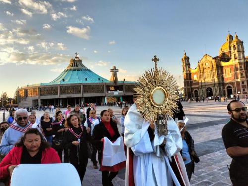 WhatsApp-Image-2023-11-27-at-12.28.44